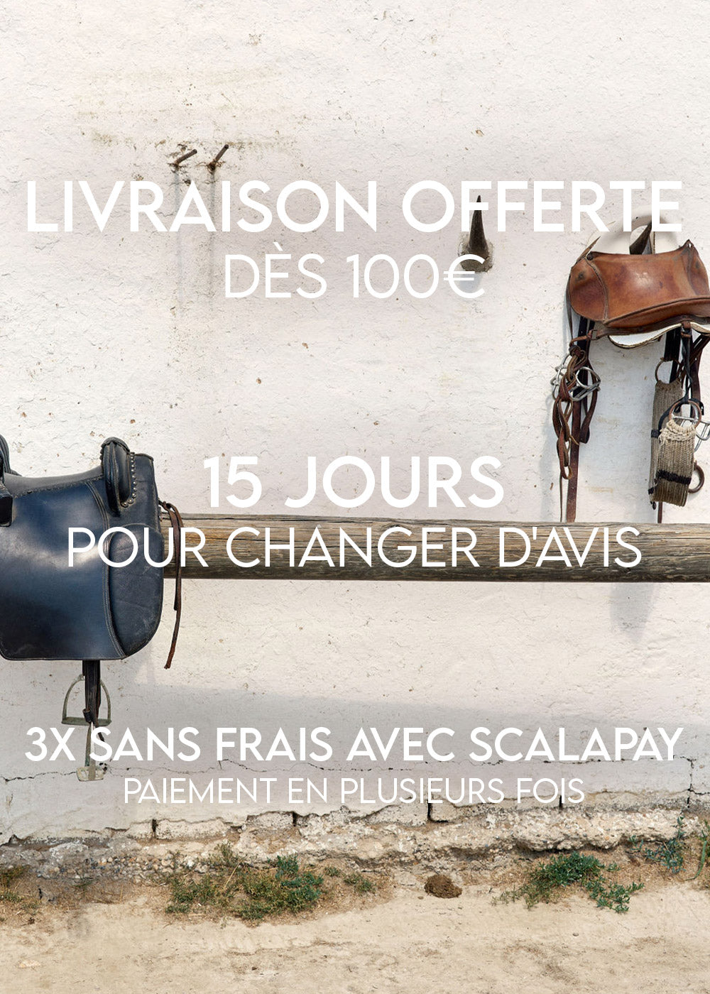 Encart Statique Livraison Offerte